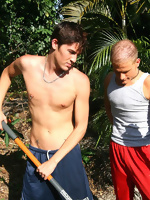 Tropical Cock Sucking